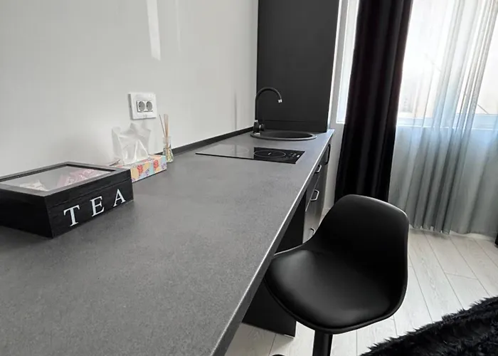 Cozy Elegant 1 Bedroom * 布加勒斯特